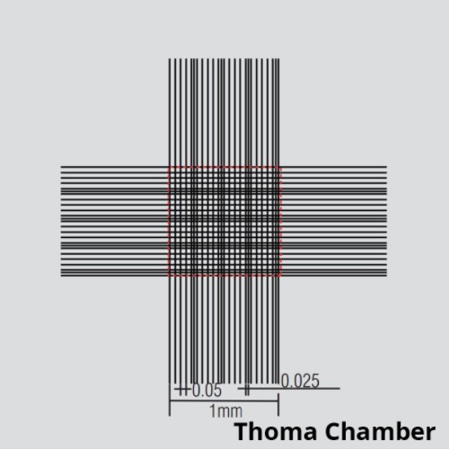 혈구 계산용 챔버 Blood Counting Chamber